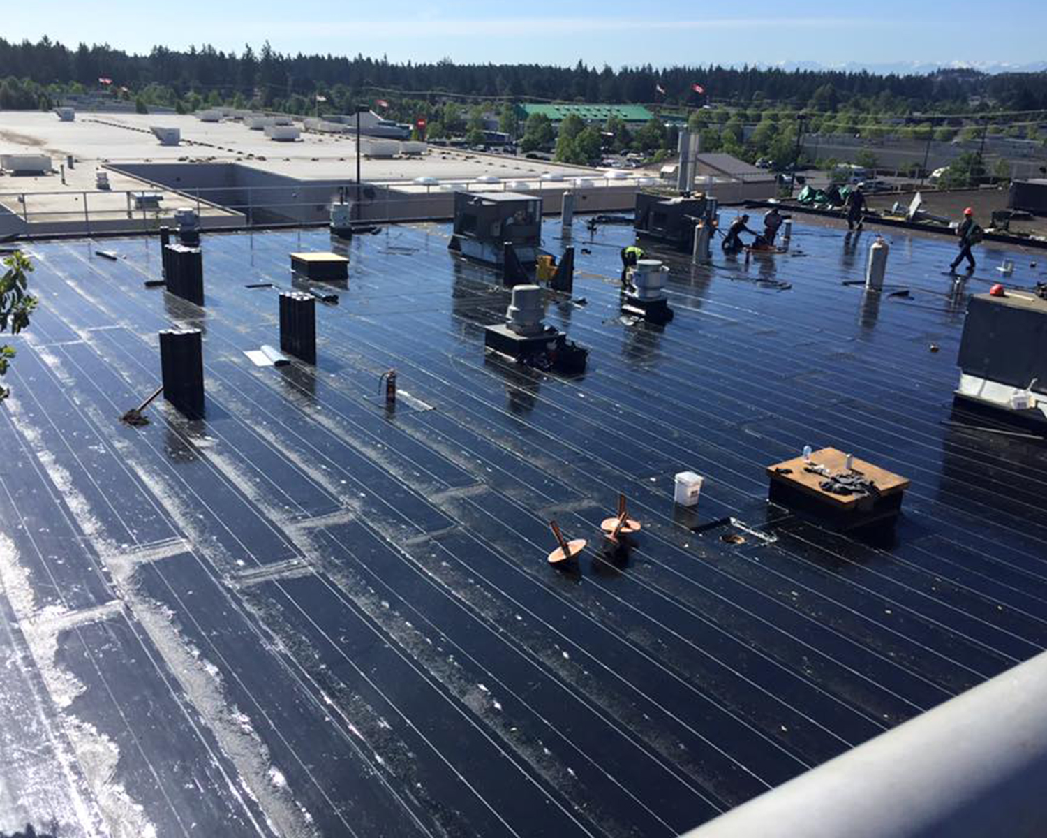 commercial-flat-roof